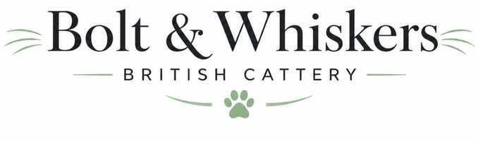 catteryboltwhiskers